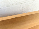 Clearance: Drugeot Manufacture Pliage Shelf White-Green 80cm (shelf 5) - Journey East