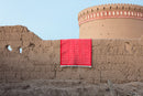 Nasser Nishaburi Silence Zilu Rug - Journey East