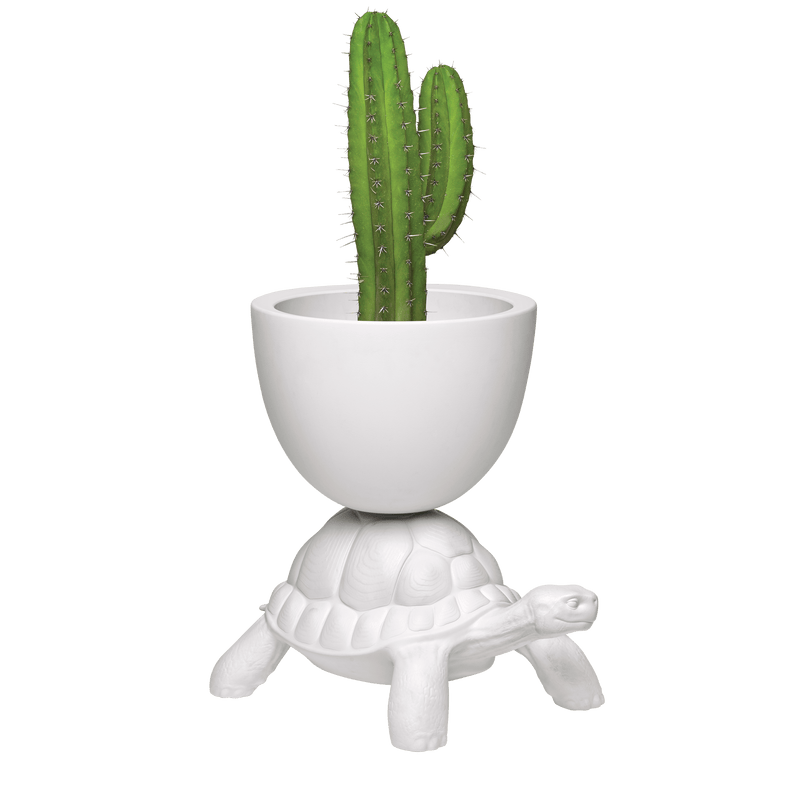 Qeeboo Turtle Carry Planter & Champagne Cooler - Journey East