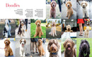 Book: The Dogist - Journey East