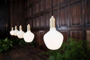 Tala Enno LED bulb - Journey East
