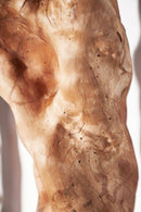 Amazon Sculptural Wood - Journey East