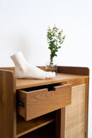 Rattan Door Shoe Cabinet with Drawers