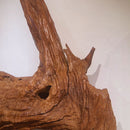 Wood Sculpture - Sculptures & Statues - Designer Furniture Tan Boon Liat
