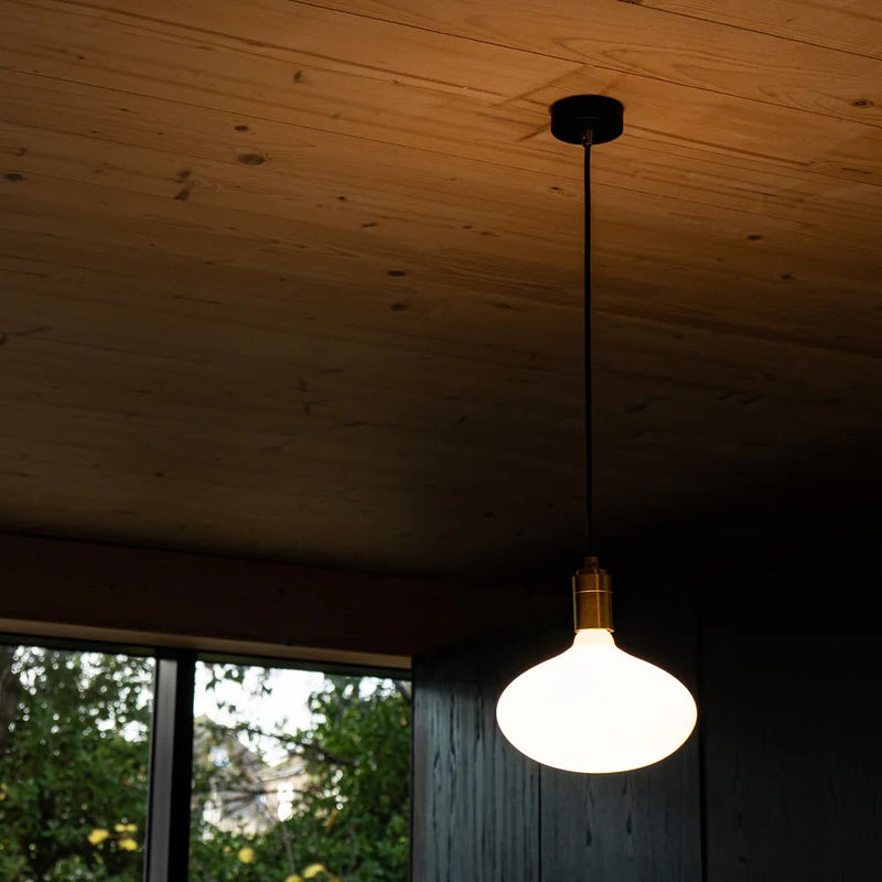 Tala Oval II LED Bulb - Journey East