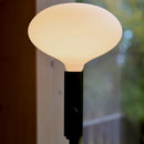 Tala Oval II LED Bulb - Journey East