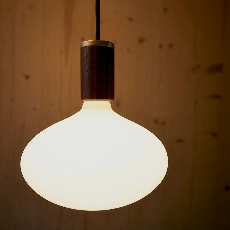 Tala Oval II LED Bulb - Journey East
