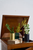 Gramophone Cabinet