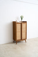 Rattan Door Shoe Cabinet with Drawers
