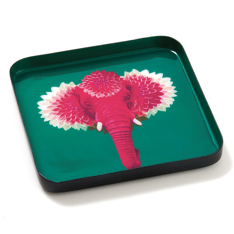 Gangzai Pachii Square Trinket Tray