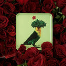 Gangzai Romeo Square Trinket Tray