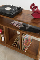 Vinyl LP Record Cabinet (Pre-Order) - Journey East
