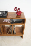Vinyl LP Record Cabinet (Pre-Order) - Journey East