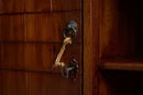 Close-up of a dark brown wooden cabinet door with a metal ring handle, a hanging rope key, and a lower decorative lock.