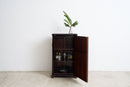 A dark wood cabinet with one door open, showing shelves with bottles inside, set against a plain white wall and light concrete floor. A small plant in a glass vase sits on top of the cabinet.