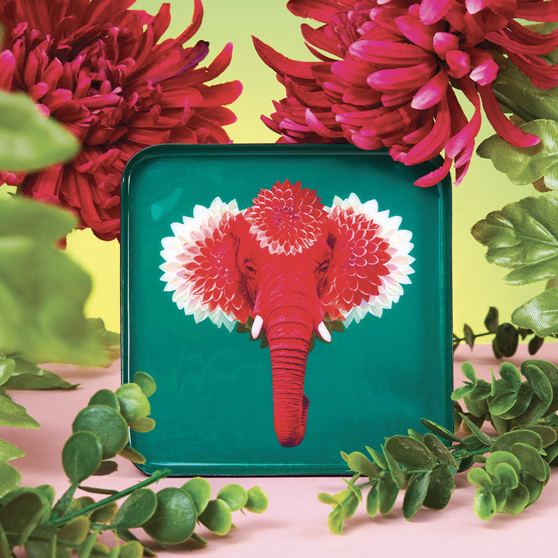 Gangzai Pachii Square Trinket Tray