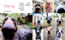Book: The Dogist - Journey East