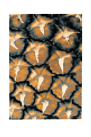 Floorish Prosper Roll, 旺來 Rug - Journey East