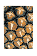 Floorish Prosper Roll, 旺來 Rug - Journey East