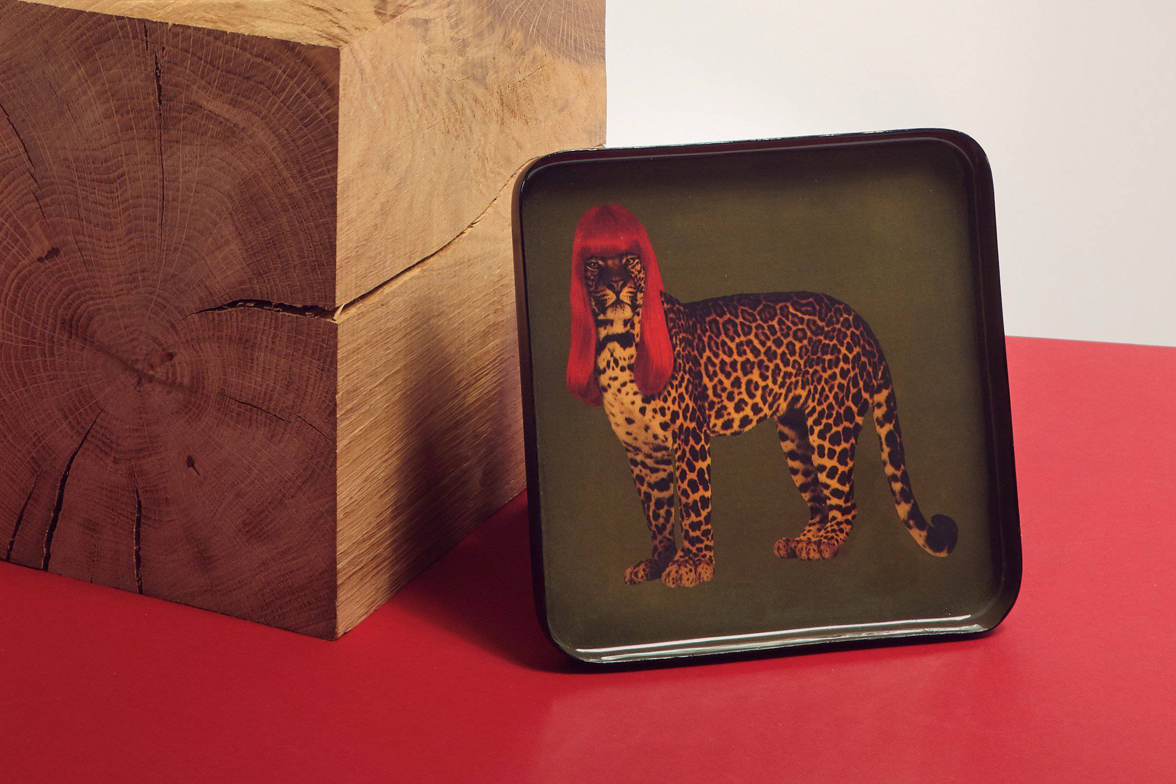 Roaring & Exploring Square Trinket Tray