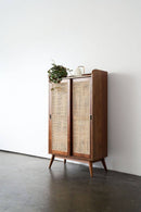 Rattan Door Shoe Cabinet - Journey East