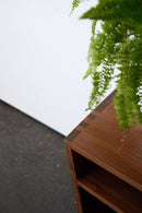 Vinyl LP Record Console - Journey East