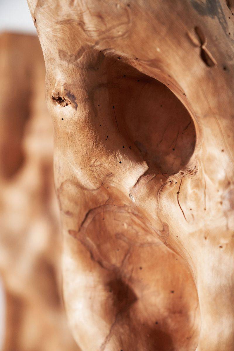 Amazon Sculptural Wood - Journey East