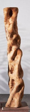 Amazon Sculptural Wood - Journey East