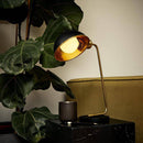 Tala Porcelain II LED Bulb - Journey East