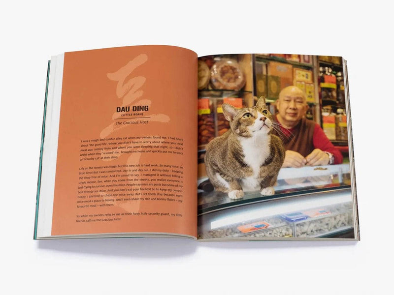 Book: Shop Cats of Hong Kong - Journey East