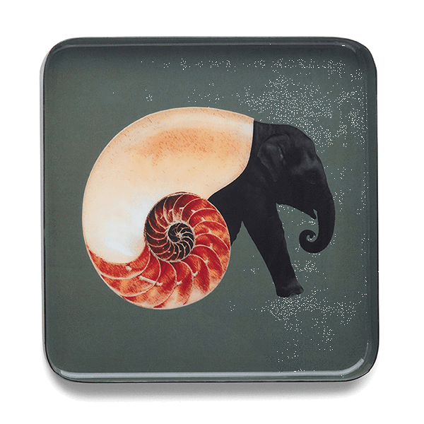 Gangzai Shellephant Square Trinket Tray - Journey East