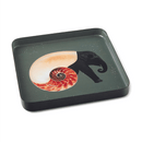 Gangzai Shellephant Square Trinket Tray - Journey East